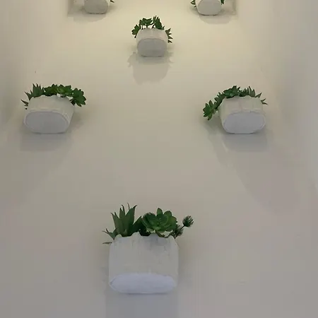 公寓 Dina House *