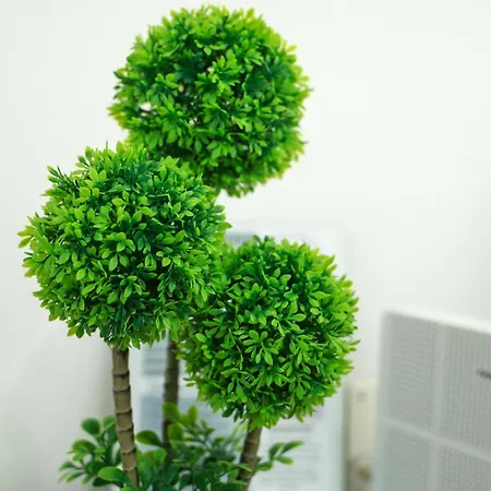 Appartamento Dina House